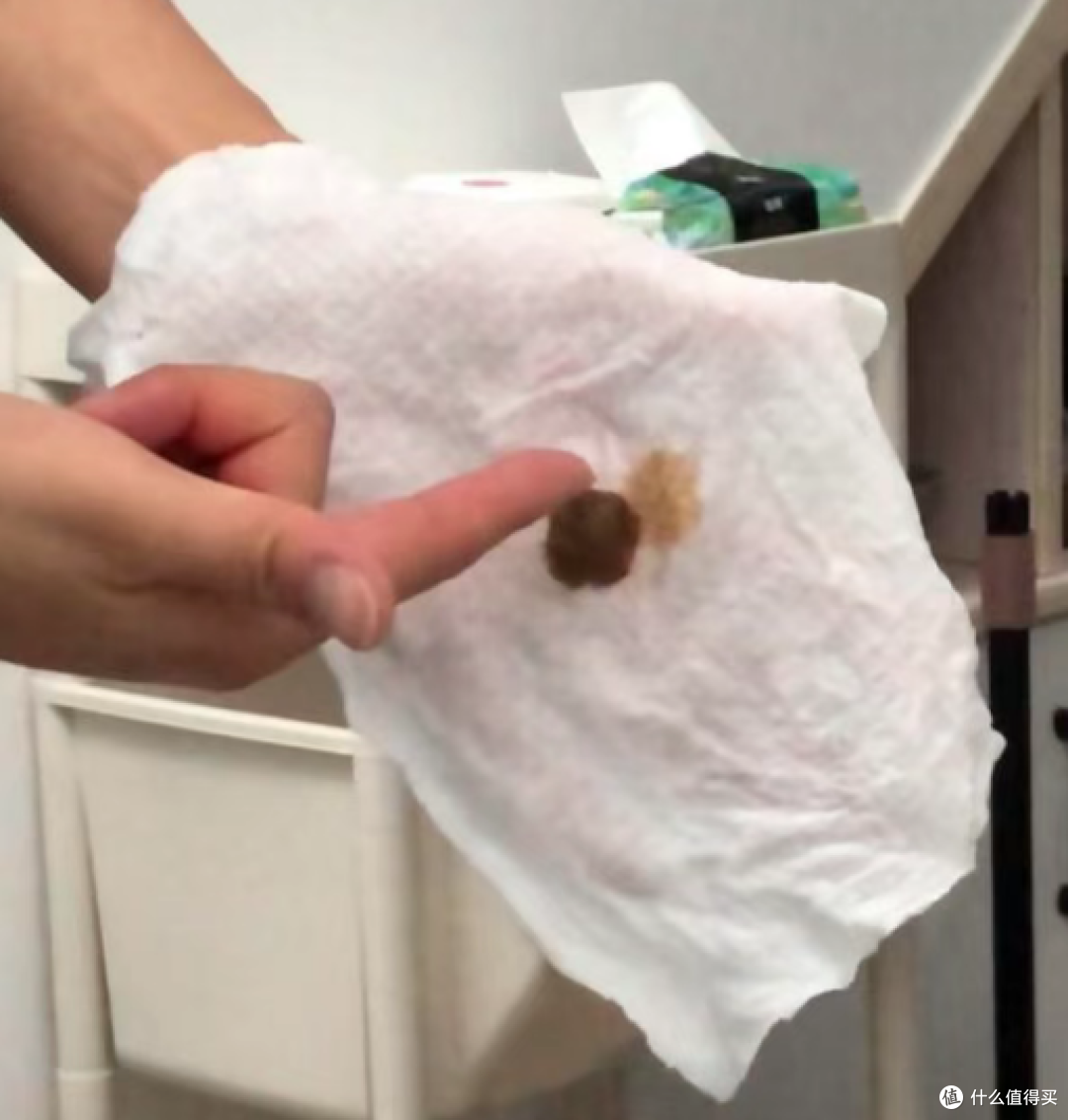 惠尔顿前置实测!百元与千元前置净水器区别在哪?