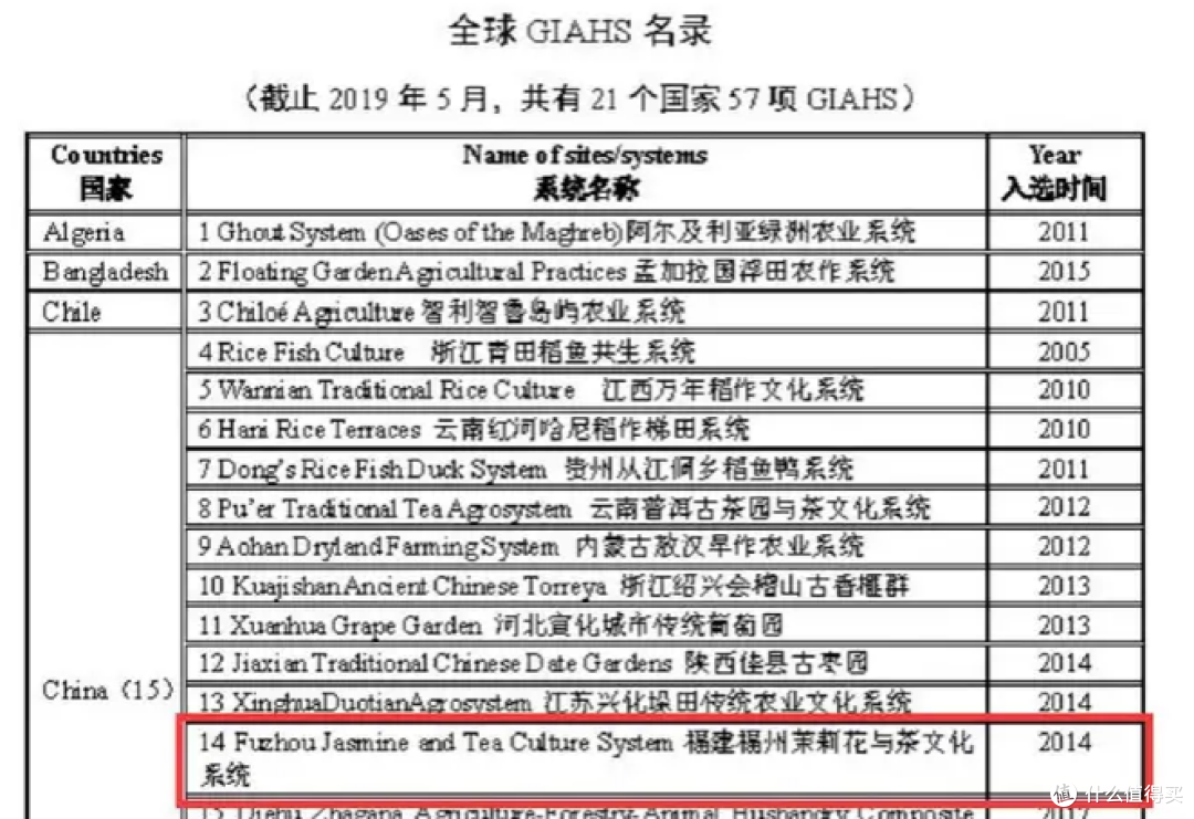 消暑必备!7款茉莉花茶推荐!一文了解五大产区茉莉花茶有何不同