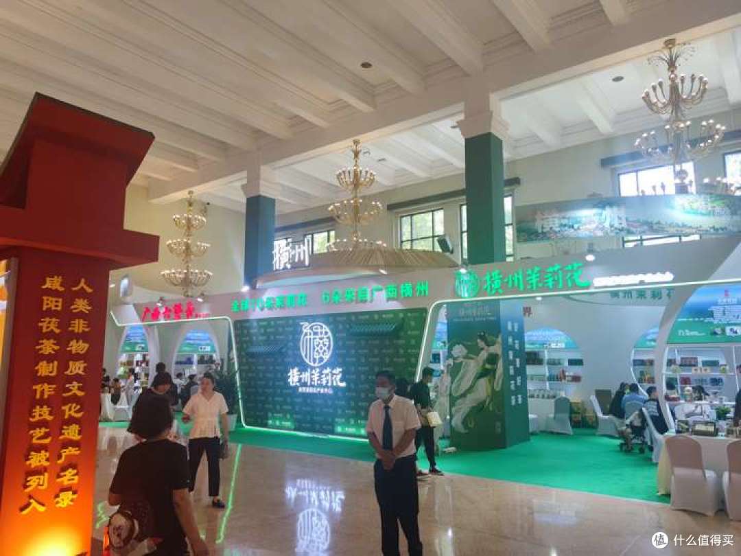 消暑必备!7款茉莉花茶推荐!一文了解五大产区茉莉花茶有何不同