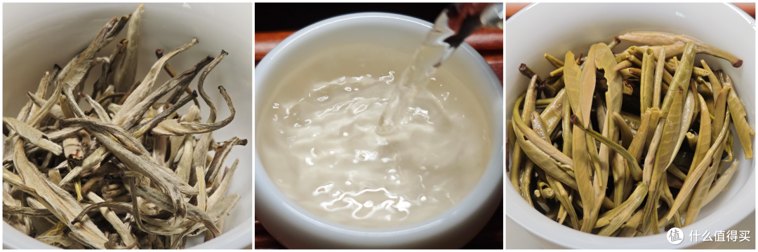 消暑必备!7款茉莉花茶推荐!一文了解五大产区茉莉花茶有何不同