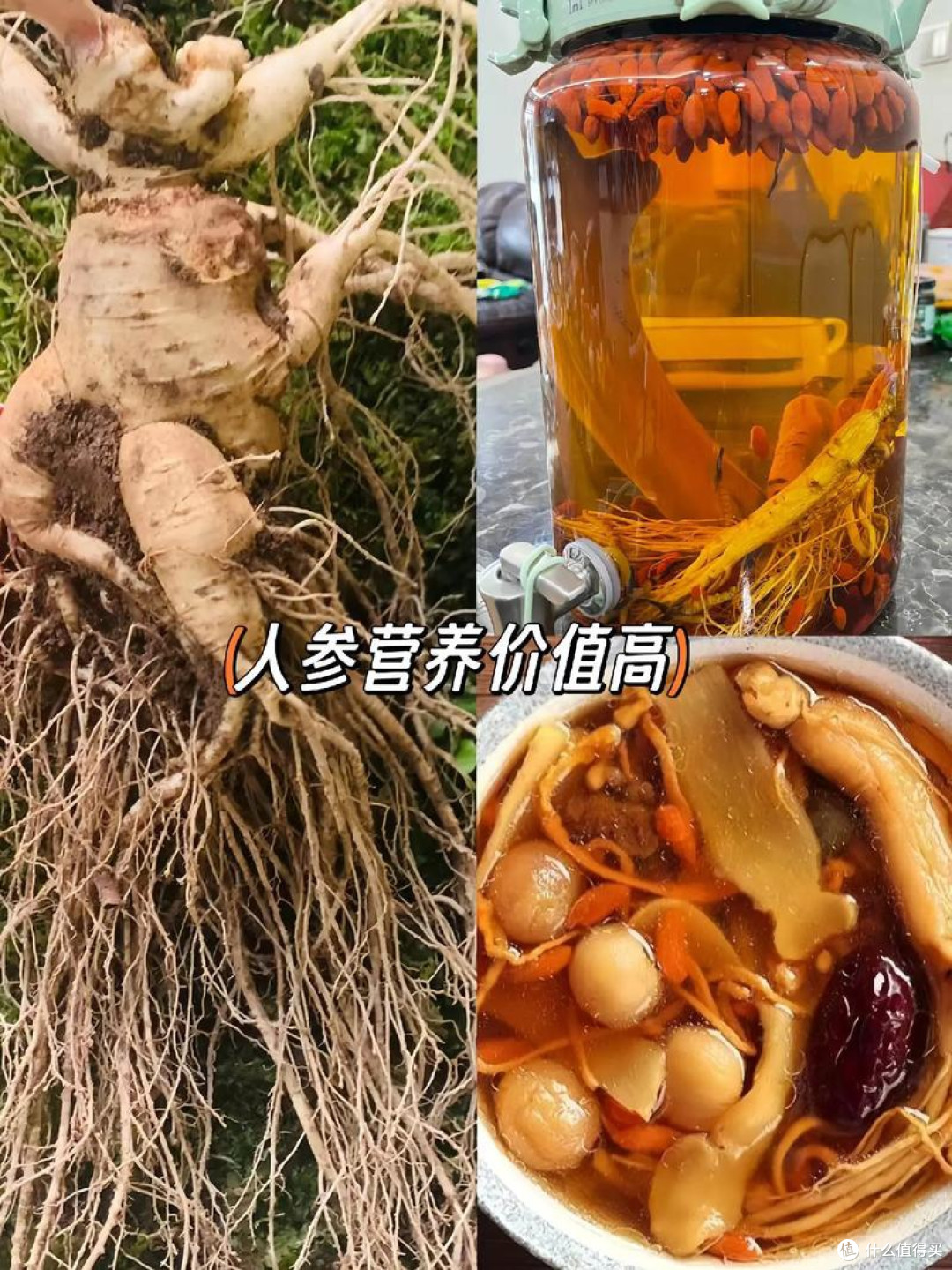 长白山人参:电养青年的花式养生秘籍