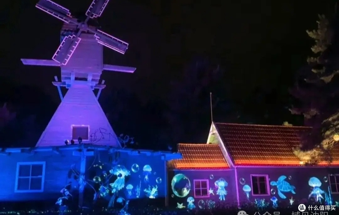 沈阳植物园“沐光森林”夜游:一场美妙的奇幻旅程