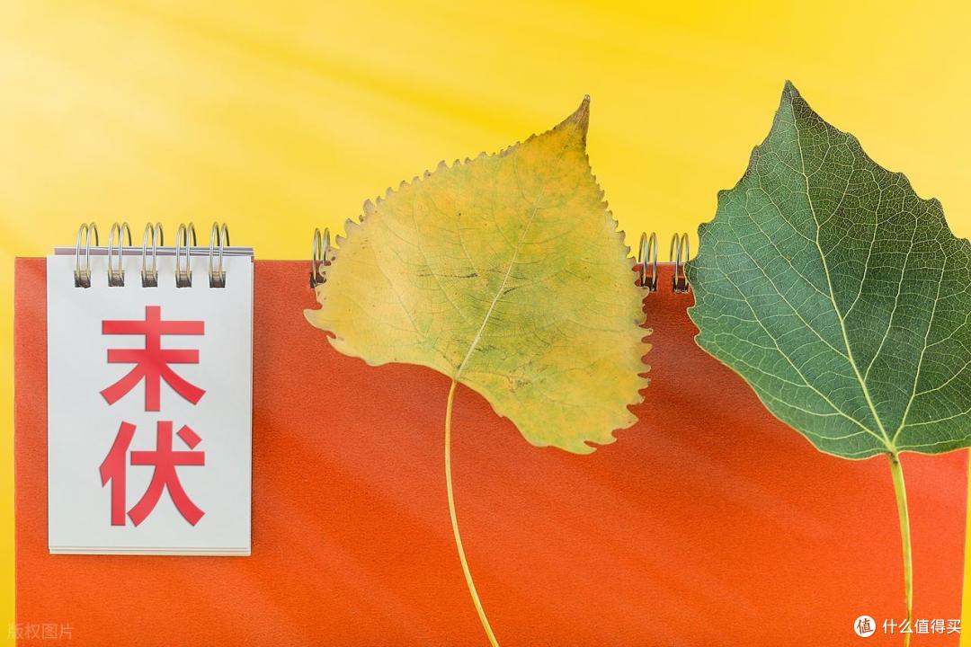 “末伏3不吃,秋冬病不沾”,3不吃指啥?进入末伏后,要管住嘴!