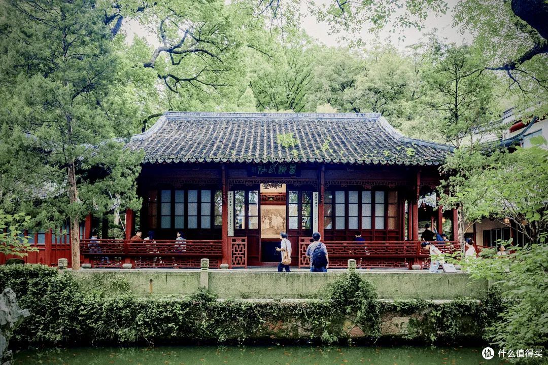 这座城市的8月是限定的!这里富贵迷人眼,没有人来了会不心动