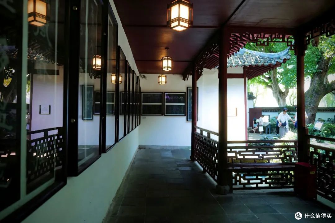 这座城市的8月是限定的!这里富贵迷人眼,没有人来了会不心动