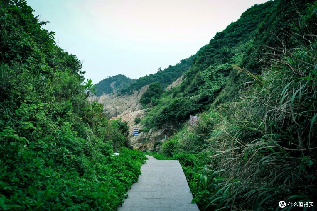 东海开渔!这个被骂“照骗”的海岛,其实真的很不错