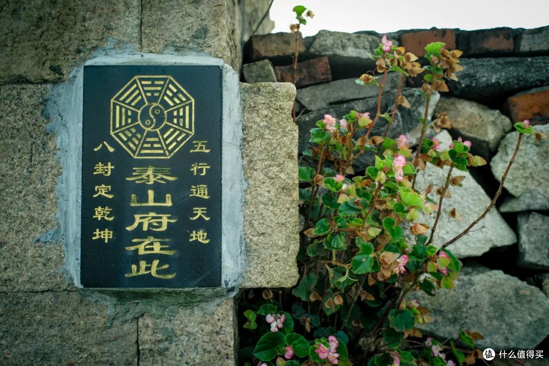 东海开渔!这个被骂“照骗”的海岛,其实真的很不错