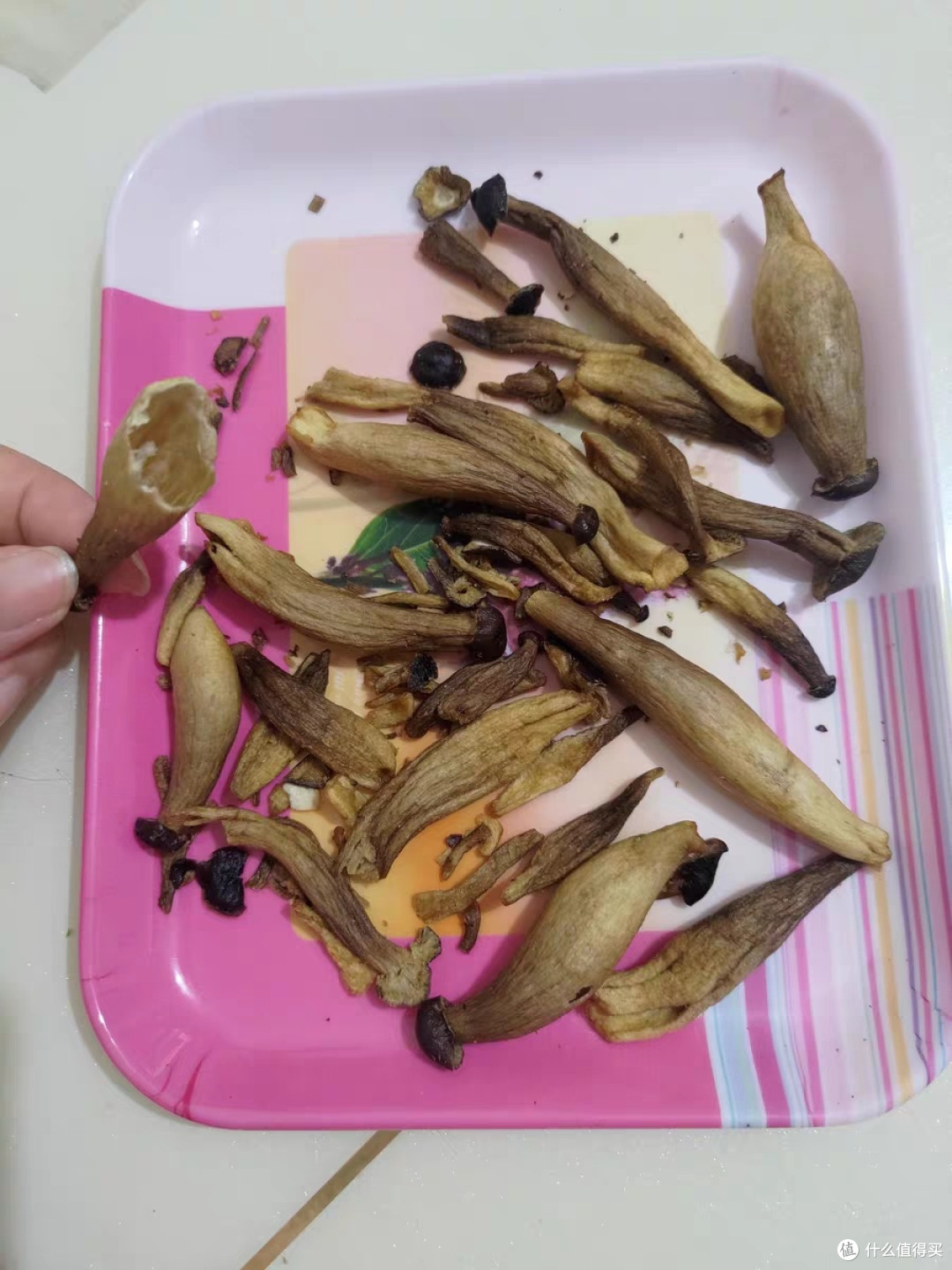 鹿茸菇脆，鲜香无敌？