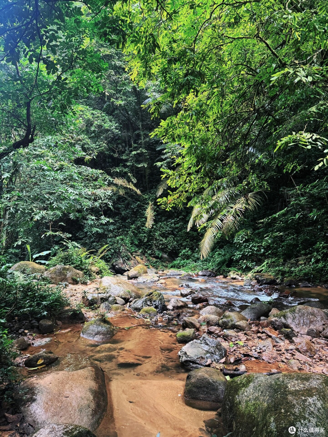 🌿早就听说通灵大峡谷的瀑布出名，去了才发现，这儿不止壮观，
