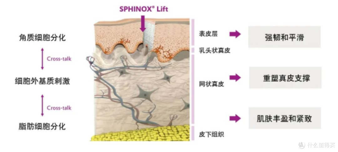 短链神经酰胺-SPHINOX Lift