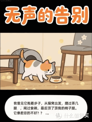猫咪“临终”前做这5件事,它是在报恩!