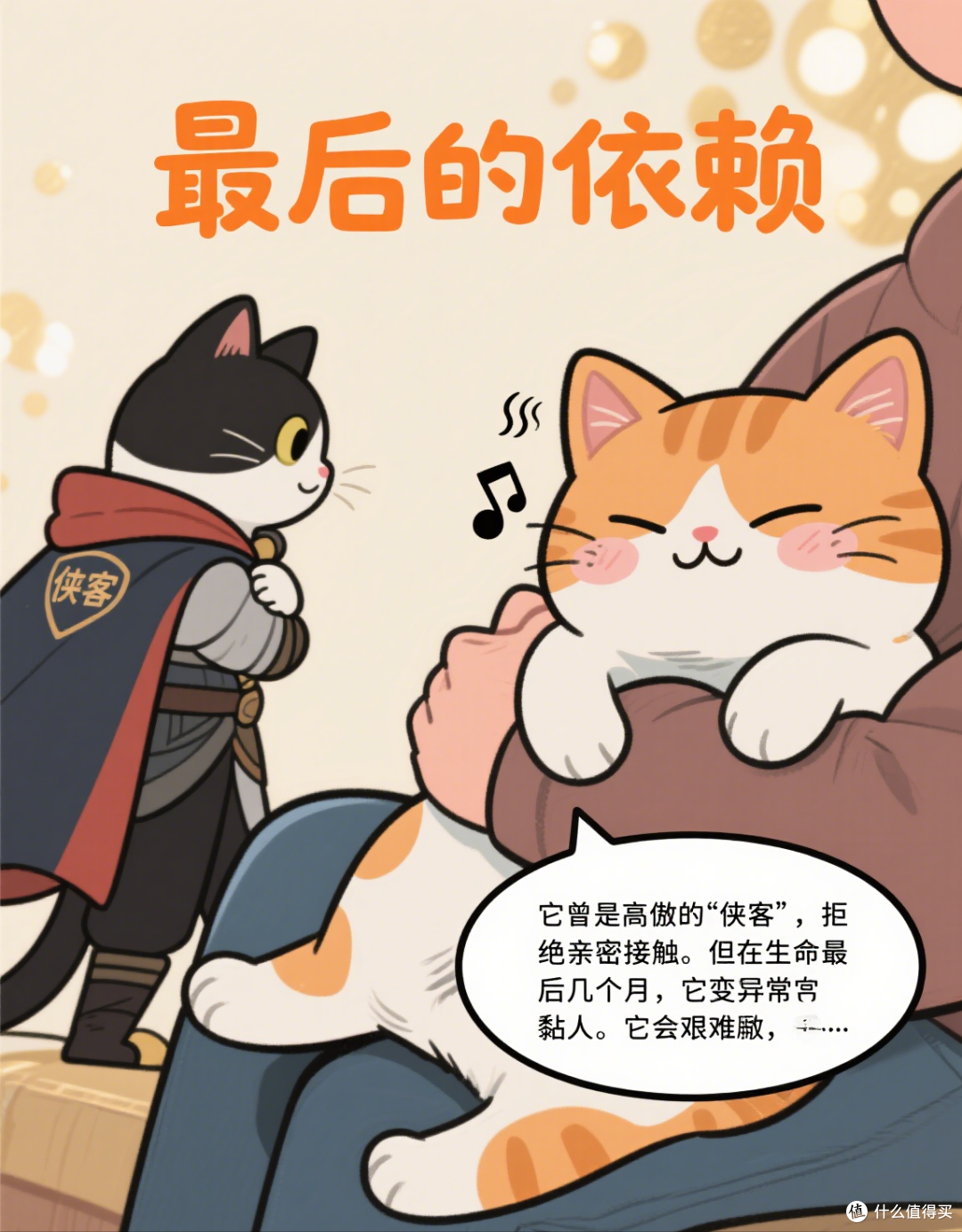 猫咪“临终”前做这5件事,它是在报恩!