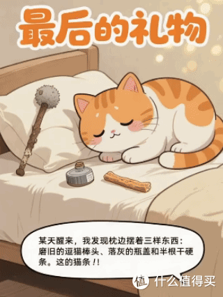猫咪“临终”前做这5件事,它是在报恩!