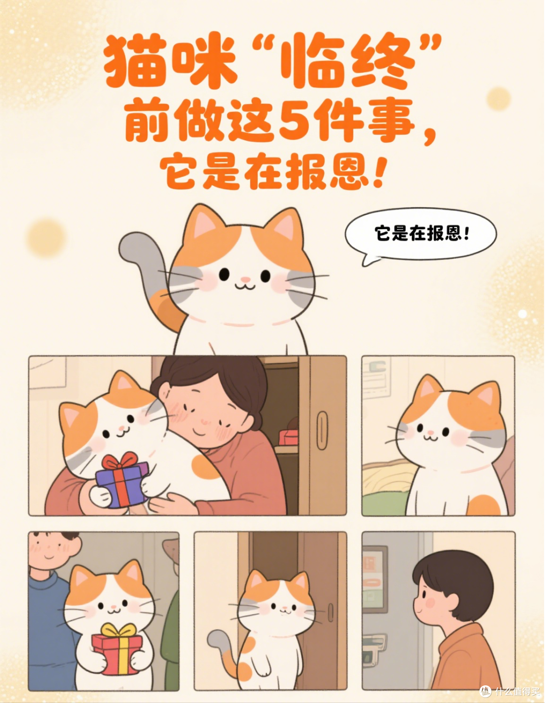猫咪“临终”前做这5件事,它是在报恩!