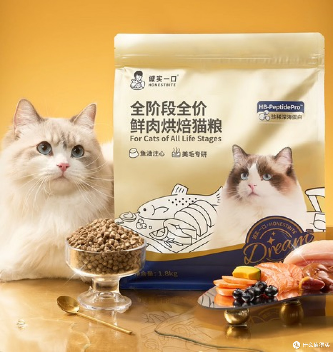 什么猫粮好?2025最新猫粮排行,新手养猫攻略!