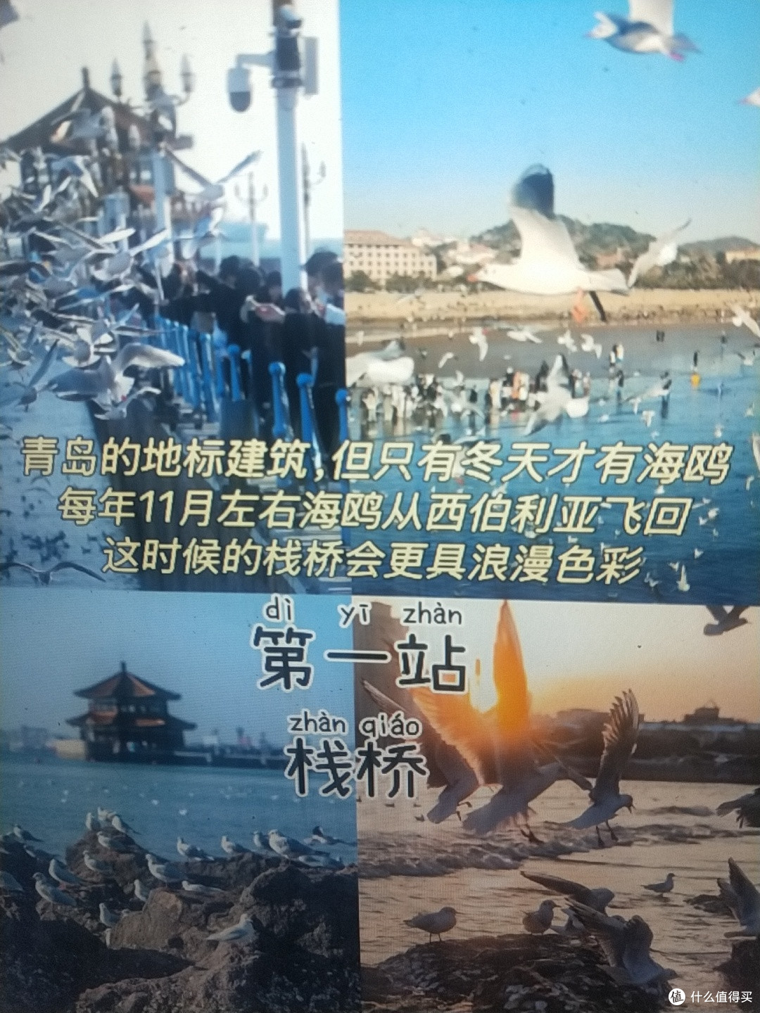 青岛三天两夜,不废腿版保姆级逛吃攻略‼️