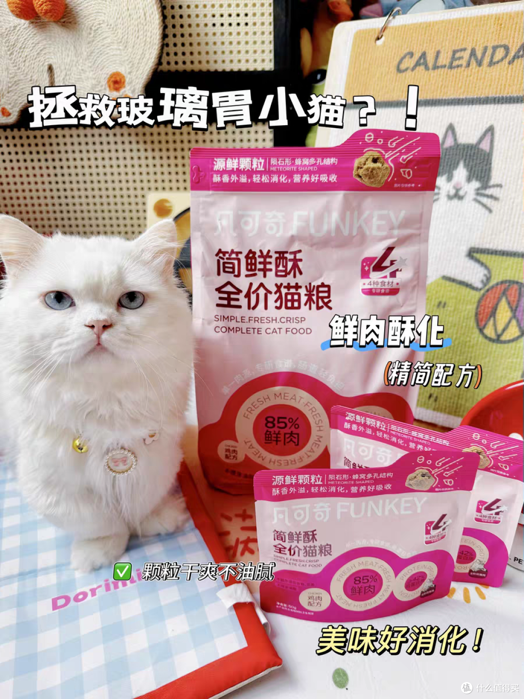 猫粮哪个牌子质量好性价比高?2025十大安全国产猫粮测评!