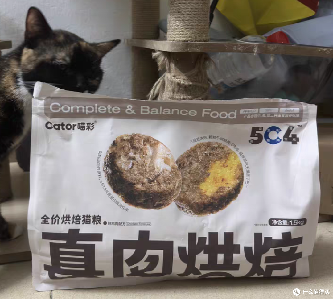 猫粮哪个牌子质量好性价比高?2025十大安全国产猫粮测评!