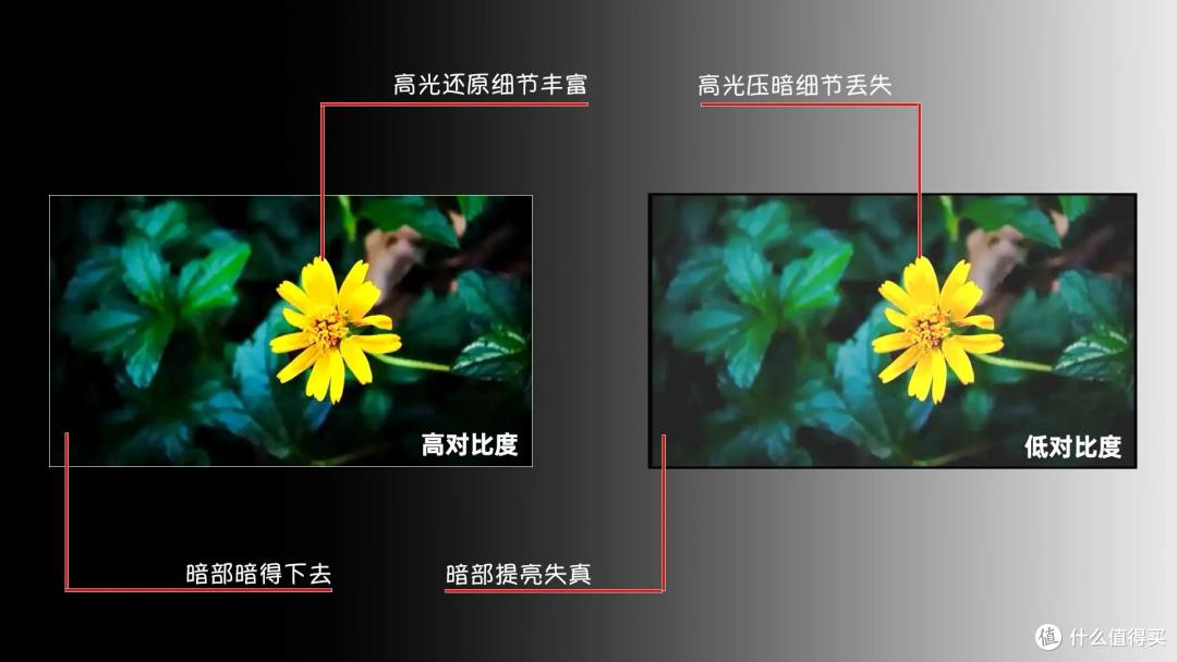 百吋电视选98还是100?这些「隐形成本」才是真痛点