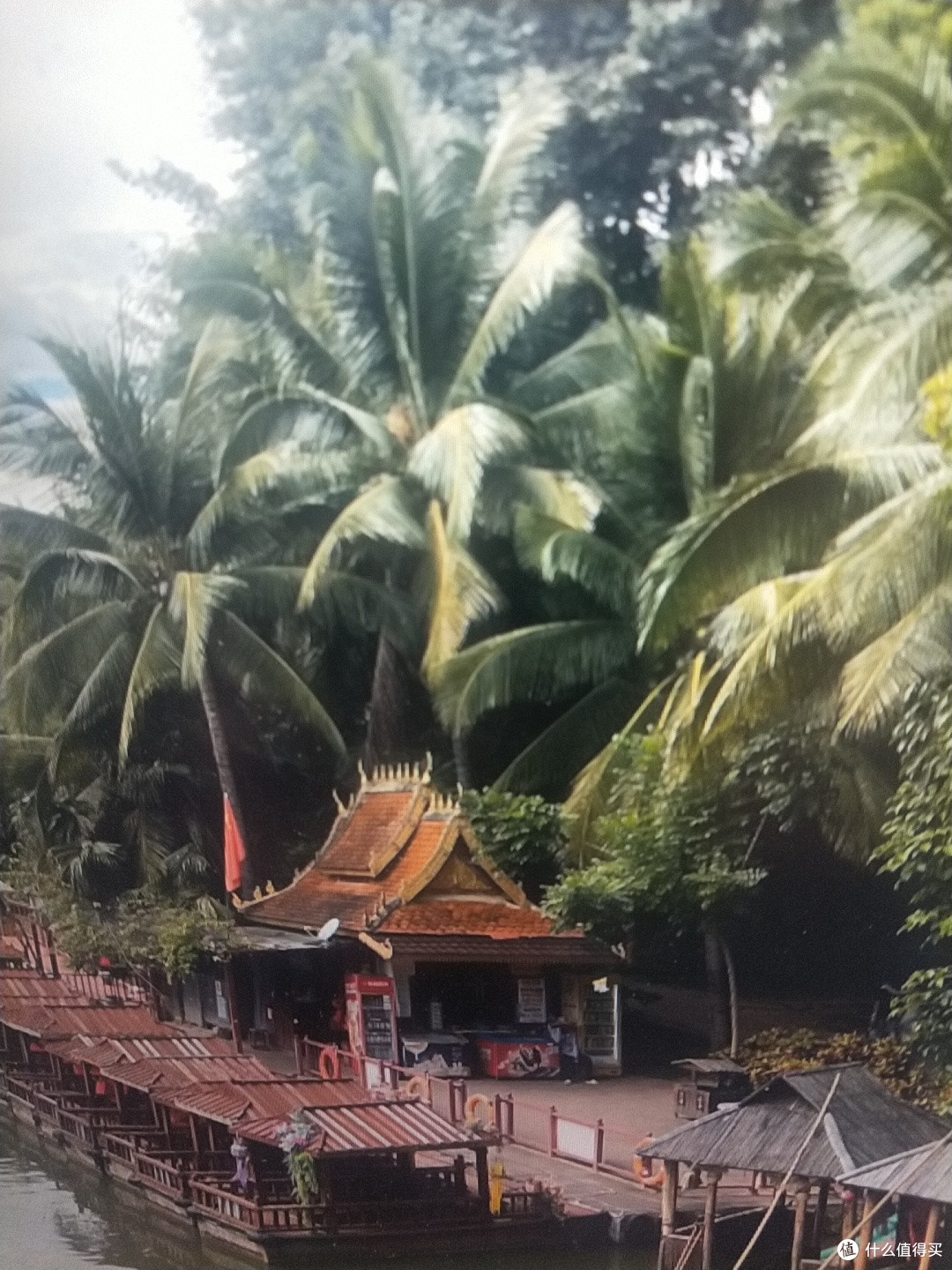 西双版纳三天两夜旅游防坑小攻略
