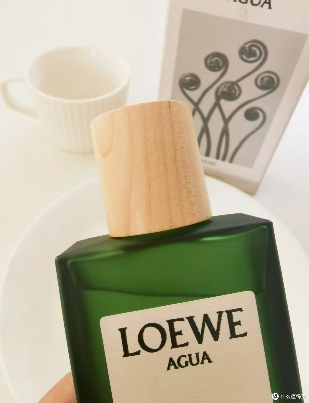 🌴吹一场橘子味的海风?Loewe「盛夏风情」真有这么上头!