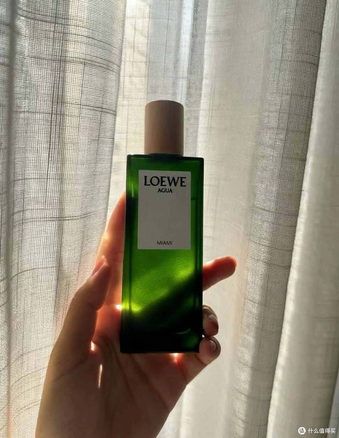 🌴吹一场橘子味的海风?Loewe「盛夏风情」真有这么上头!