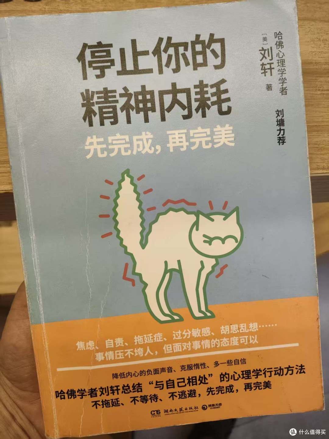 《停止你的精神内耗》:走出思维的泥潭,找到内心的平静