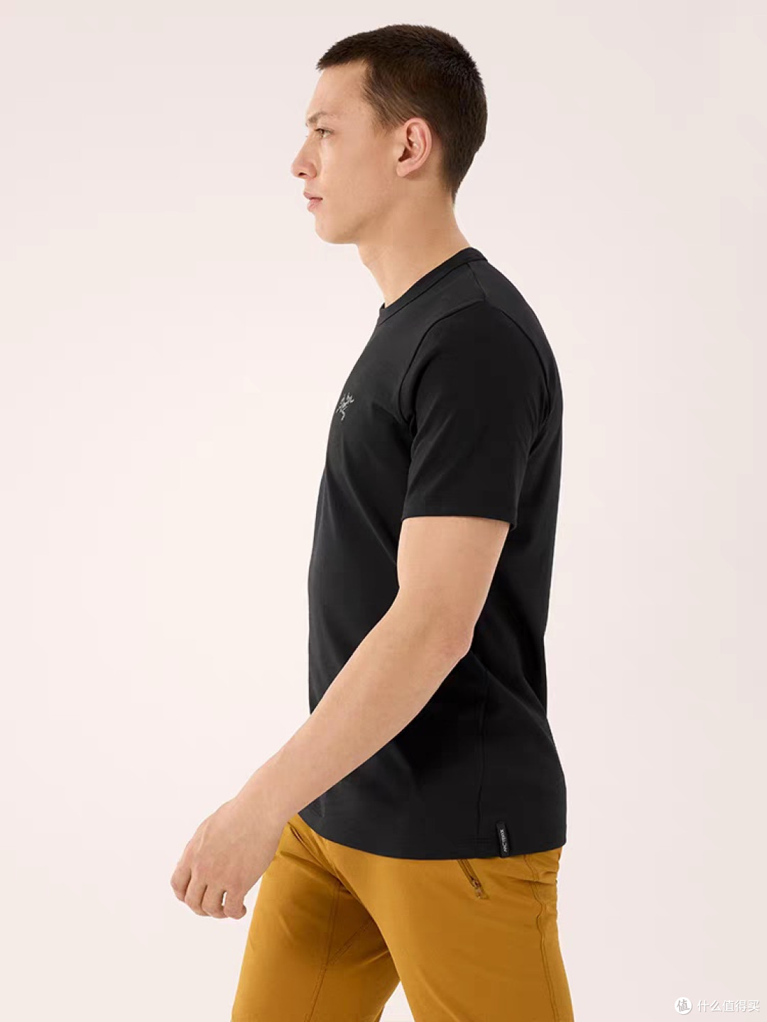 ARC'TERYX CAPTIVE ARC'WORD T恤综合评价