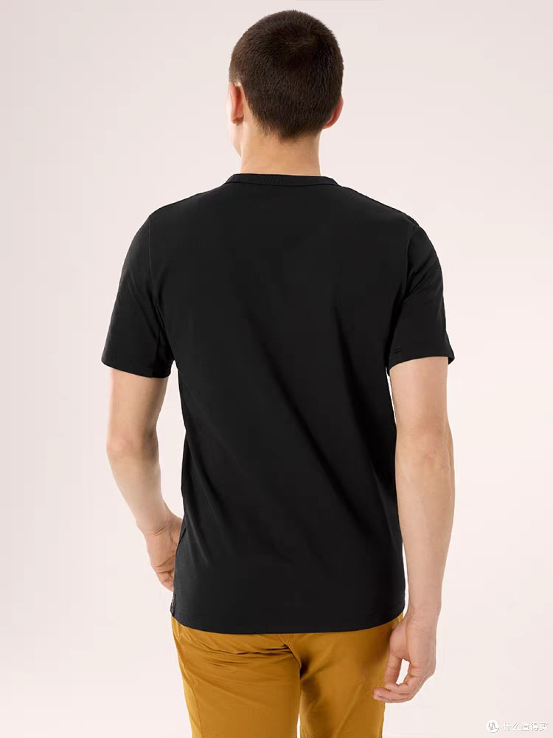 ARC'TERYX CAPTIVE ARC'WORD T恤综合评价
