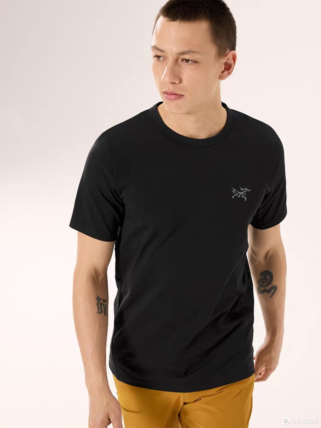 ARC'TERYX CAPTIVE ARC'WORD T恤综合评价