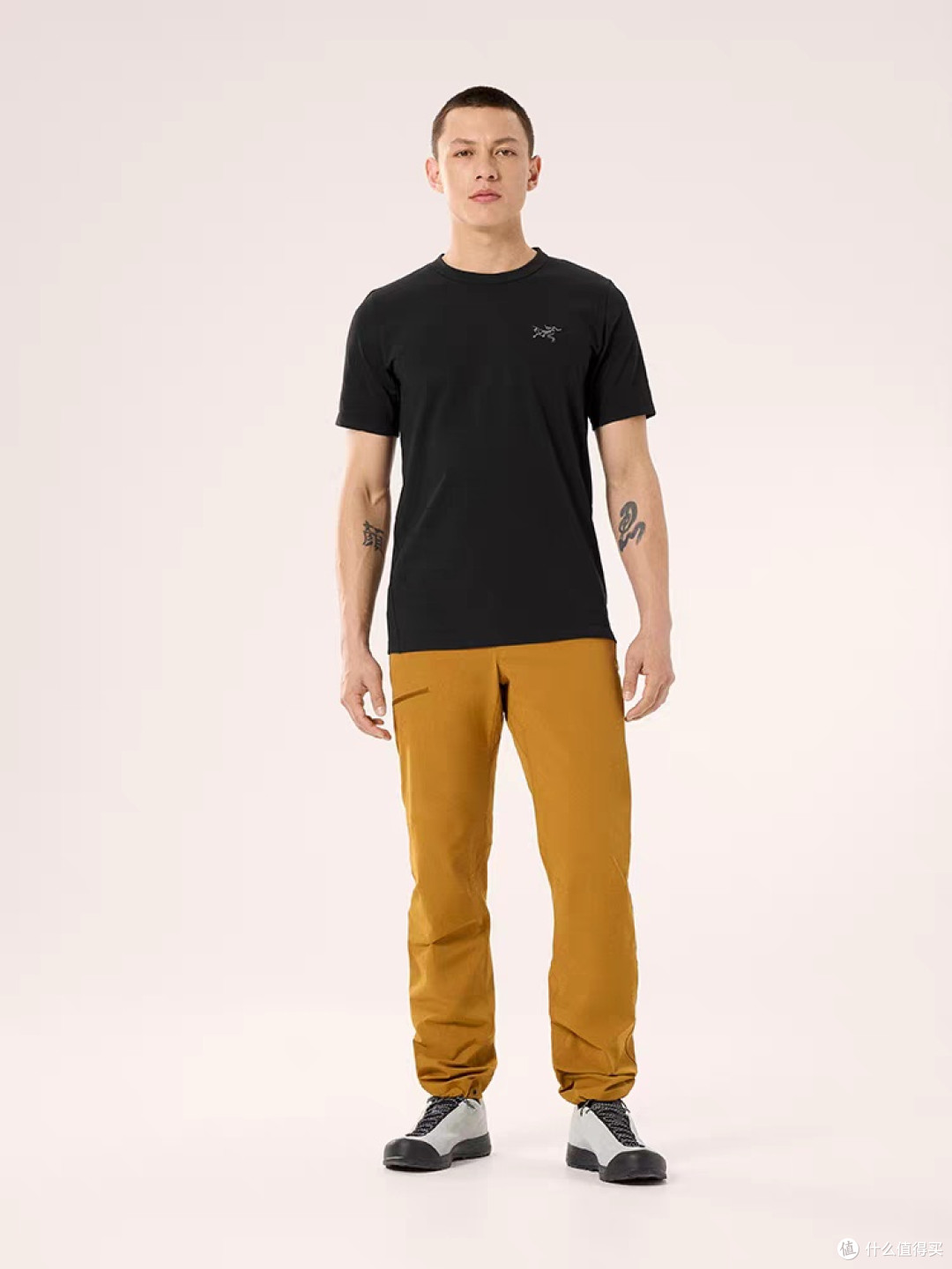ARC'TERYX CAPTIVE ARC'WORD T恤综合评价