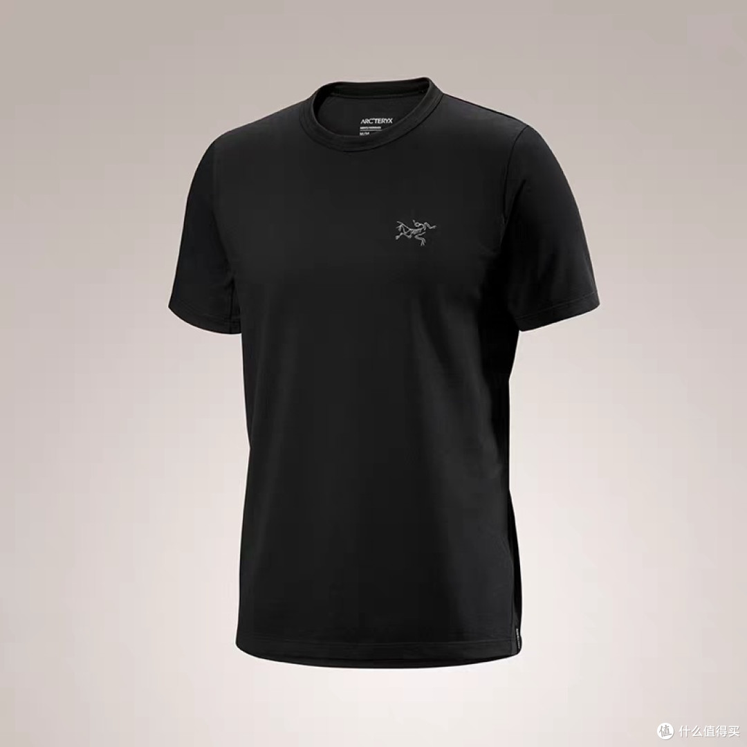 ARC'TERYX CAPTIVE ARC'WORD T恤综合评价