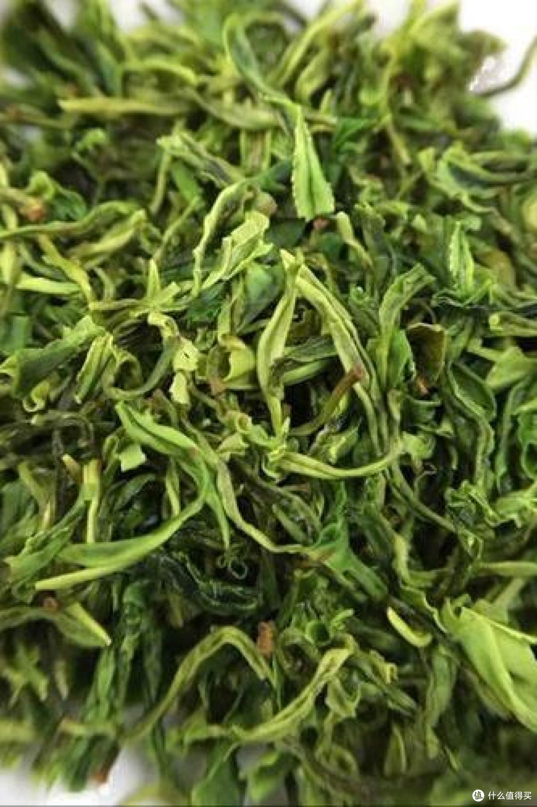 广西，这十大茶不输江南，广西人说的！