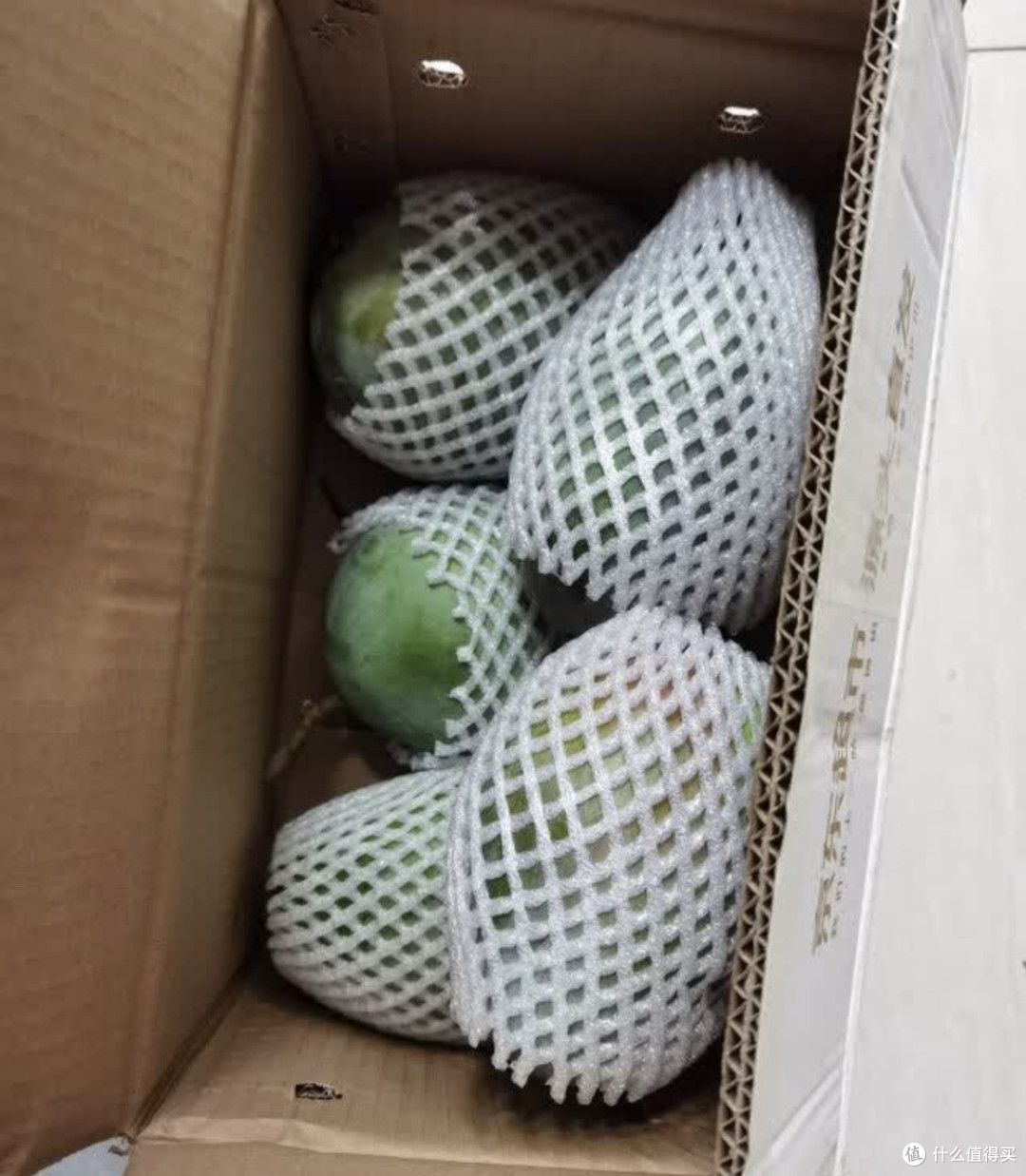 一口爆汁！攀枝花凯特芒果