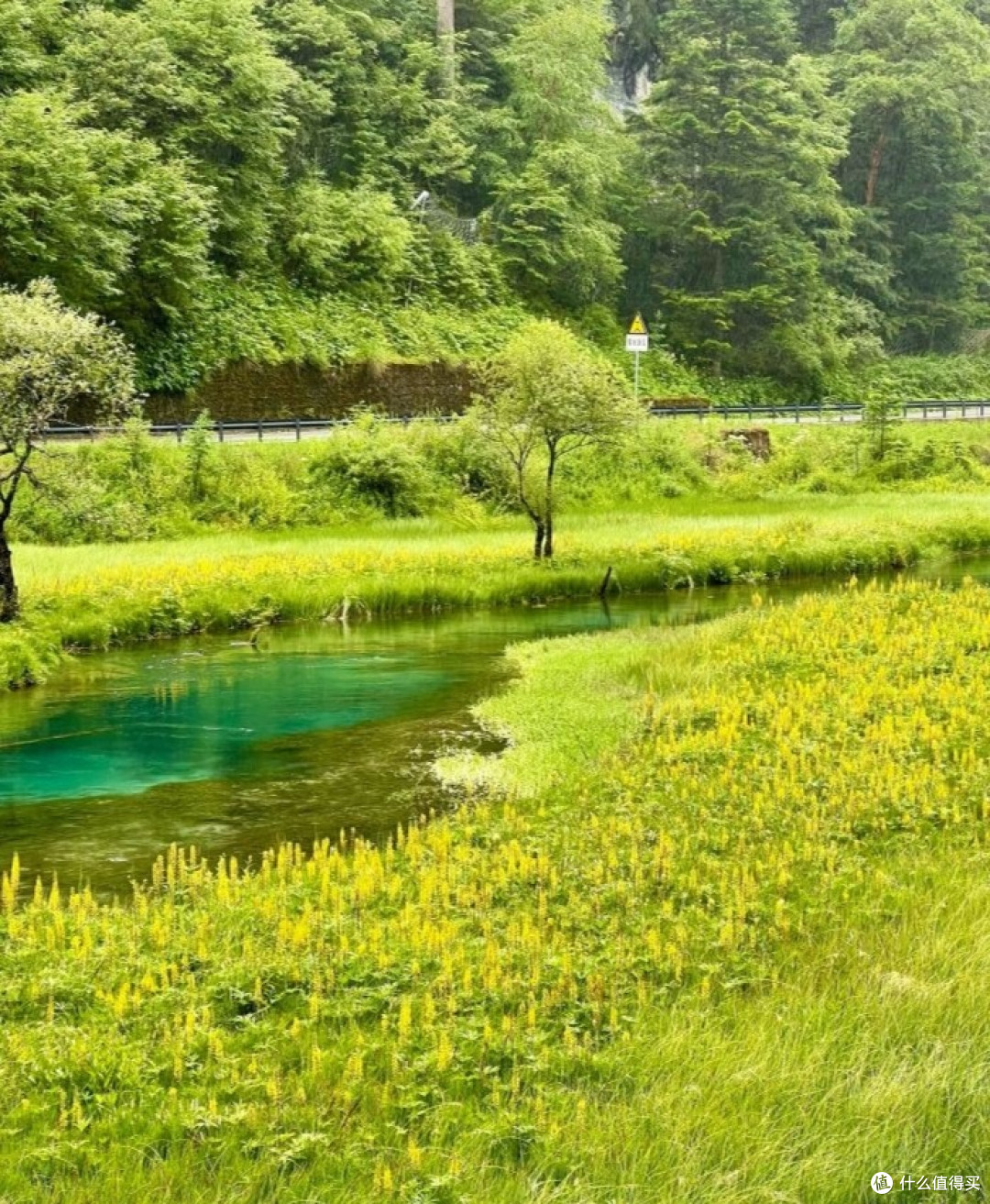 自然美景九寨沟溜娃好地方