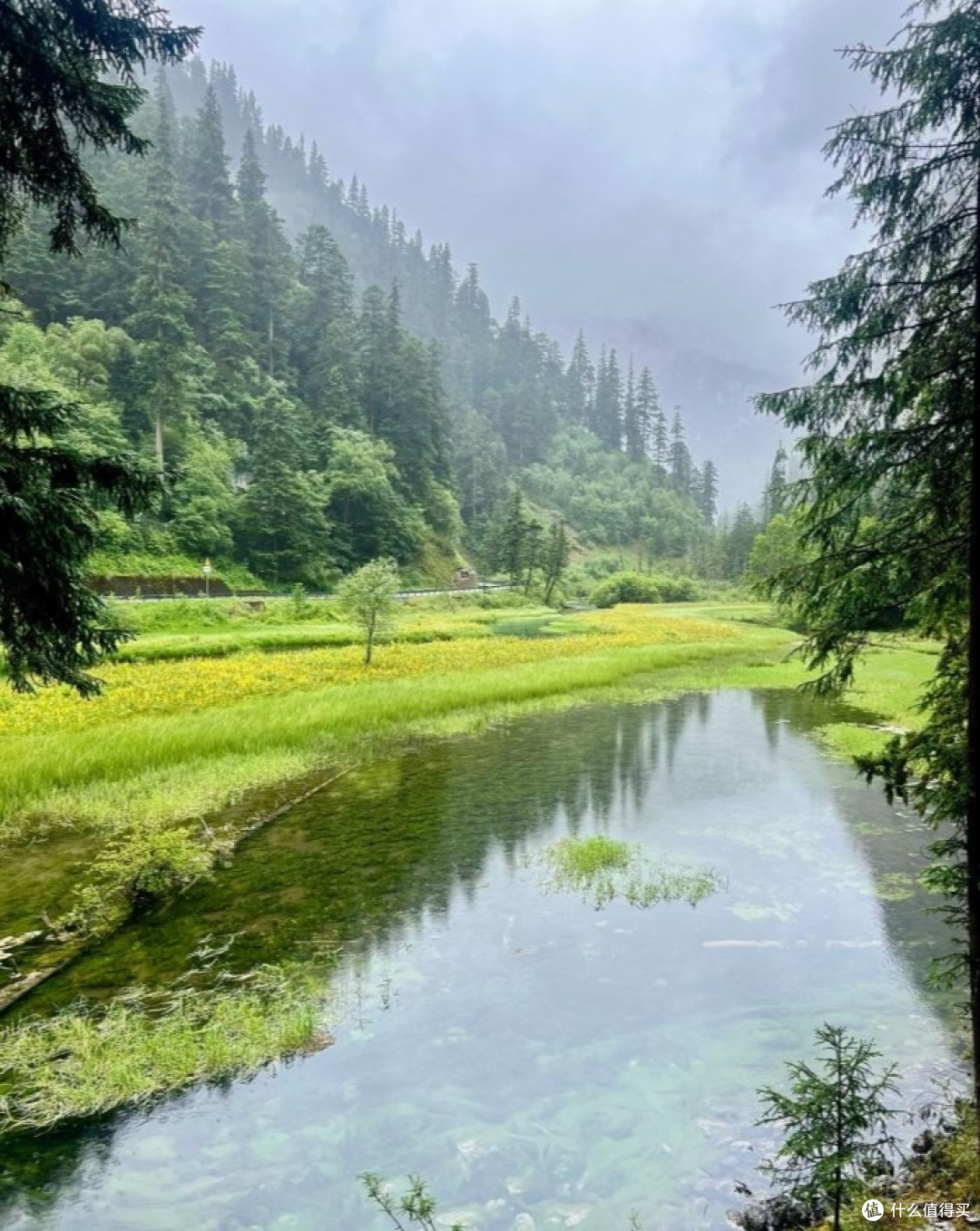自然美景九寨沟溜娃好地方