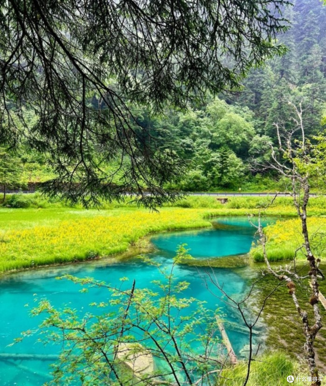 自然美景九寨沟溜娃好地方