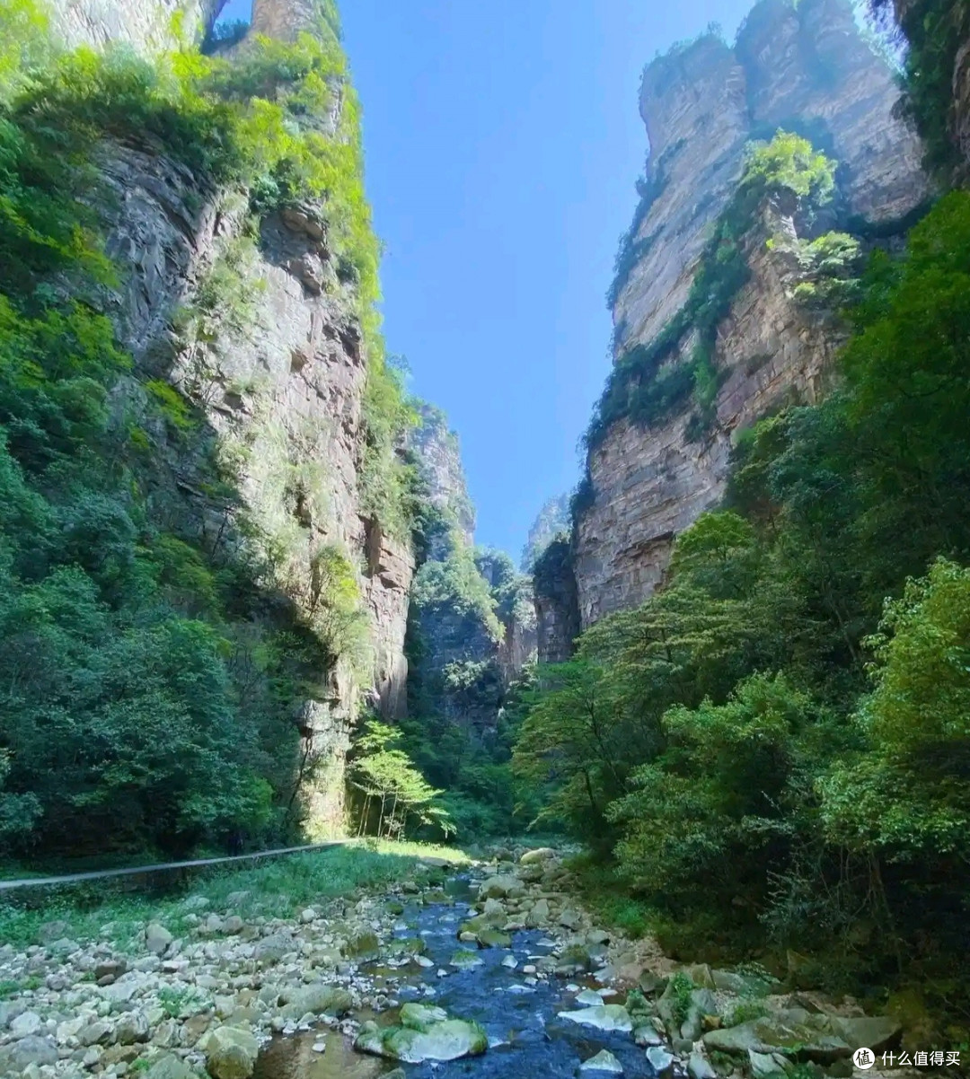 张家界夏日游人潮涌动