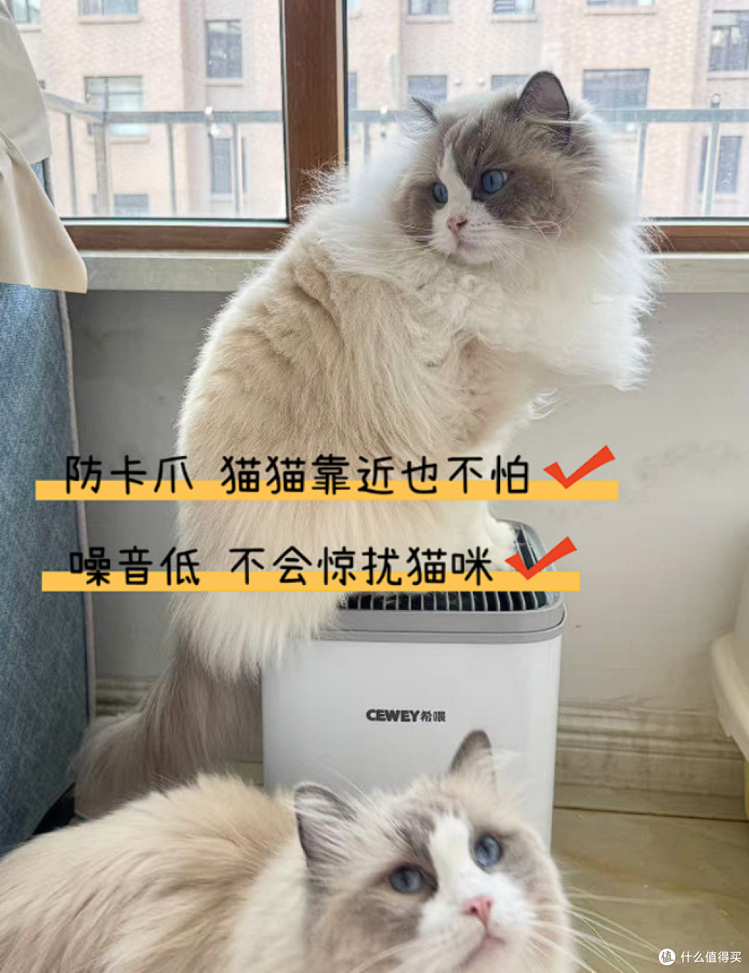 希喂宠物空气净化器好用吗?产品性能实测+真实使用感受全解析