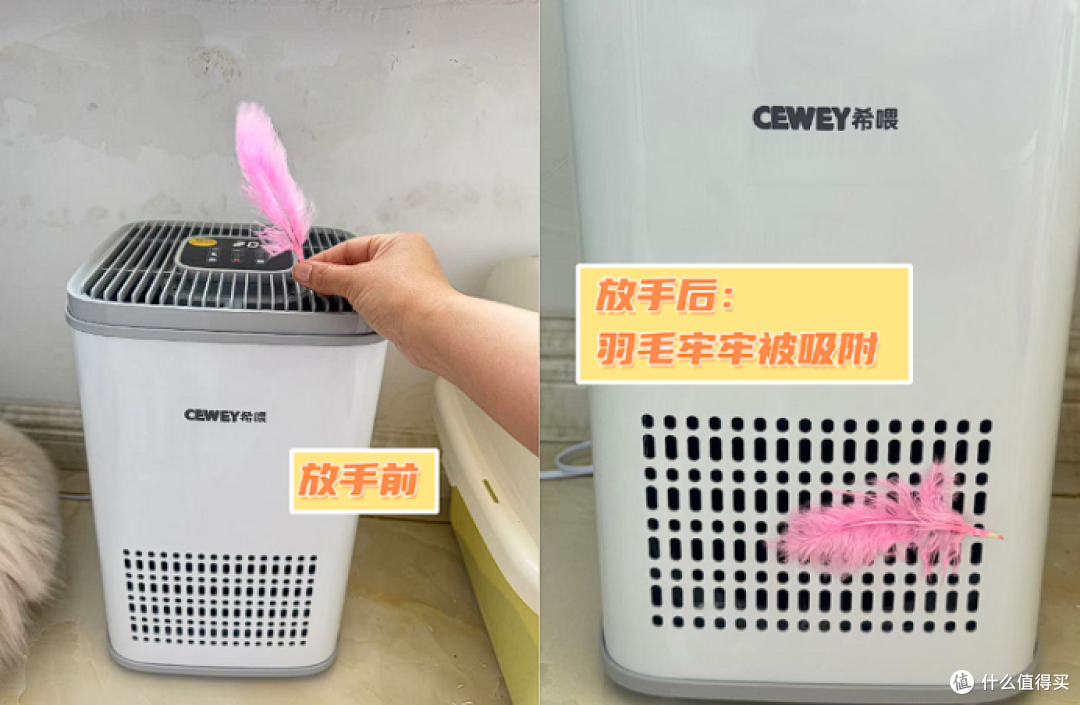 希喂宠物空气净化器好用吗?产品性能实测+真实使用感受全解析