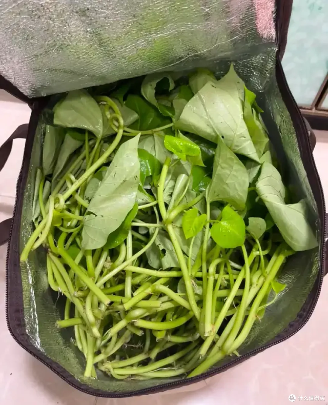 当做家务加入邪修战队,你就会知道什么叫:以前的力气白费了!