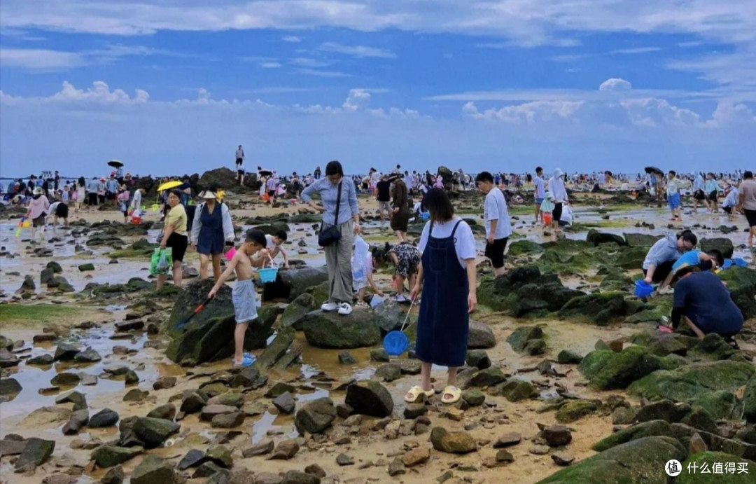 夏日户外探险与安全游玩指南