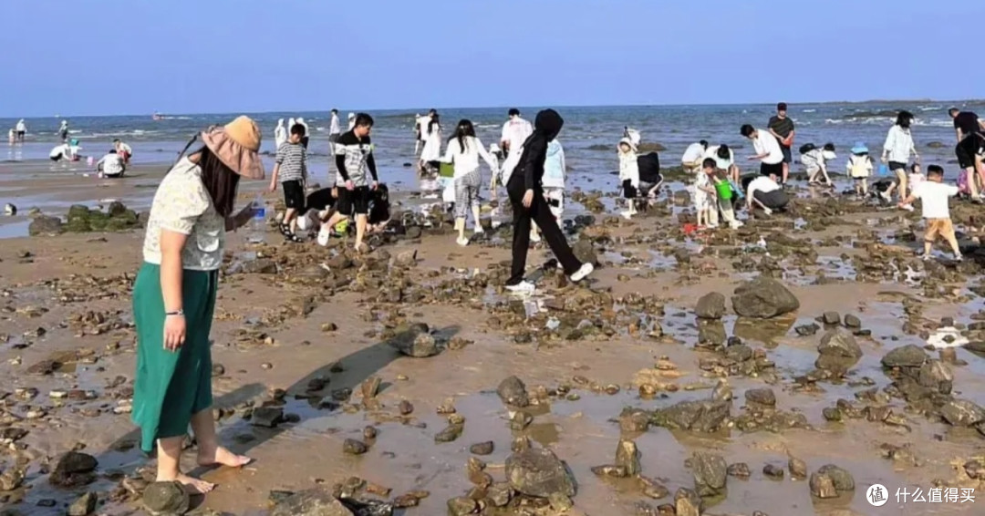夏日户外探险与安全游玩指南