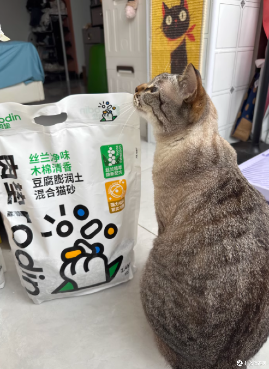 铲屎官福音!肉垫丝兰净味猫砂测评✨