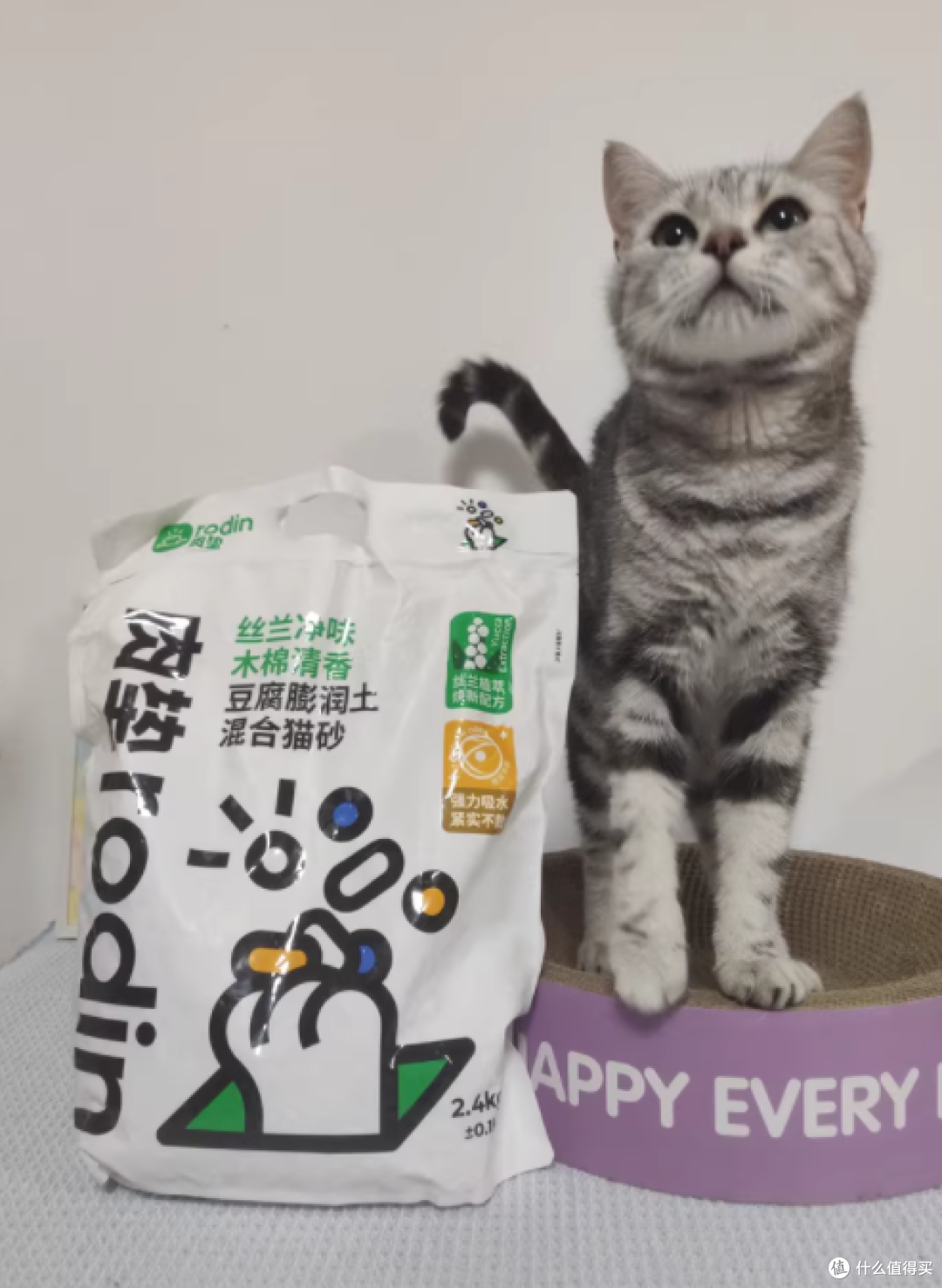 铲屎官福音!肉垫丝兰净味猫砂测评✨