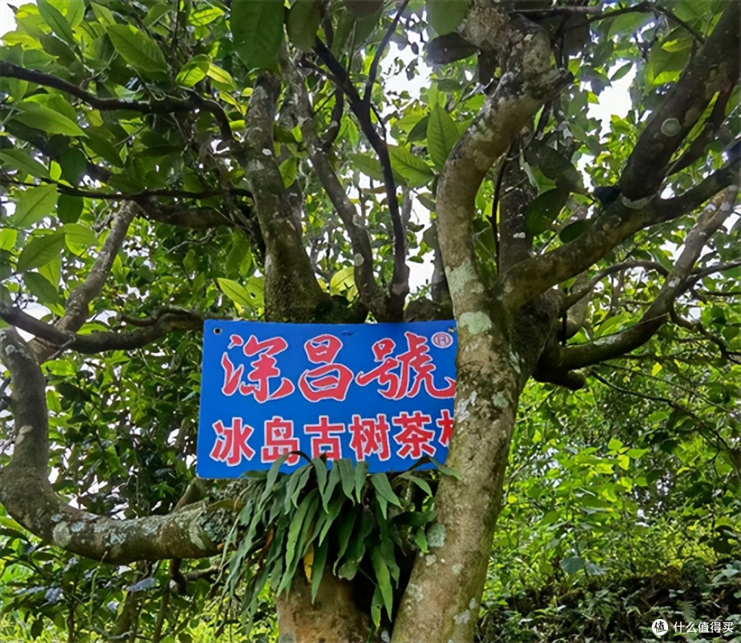 广东惠州:龙川乡贤齐聚深昌號 共探商业与公益融合发展新路径