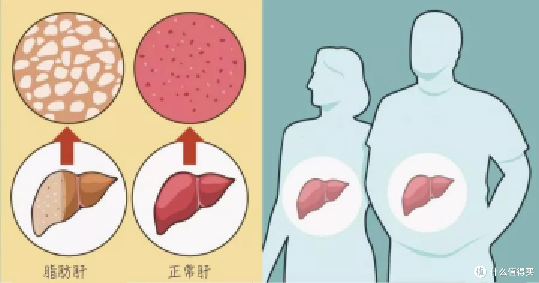 图片来源于网络