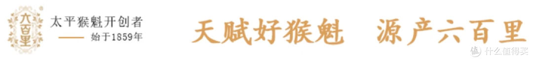 最长的茶叶究竟是什么味道?太平猴魁杯泡、冷泡测评