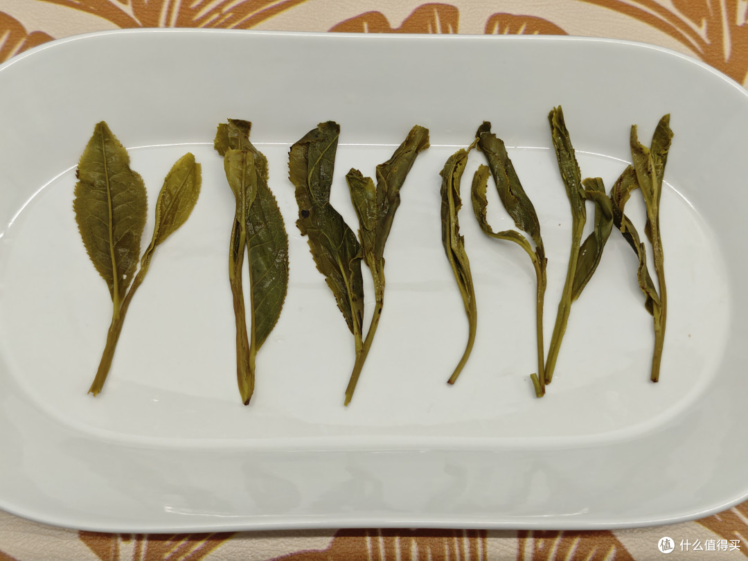 最长的茶叶究竟是什么味道?太平猴魁杯泡、冷泡测评