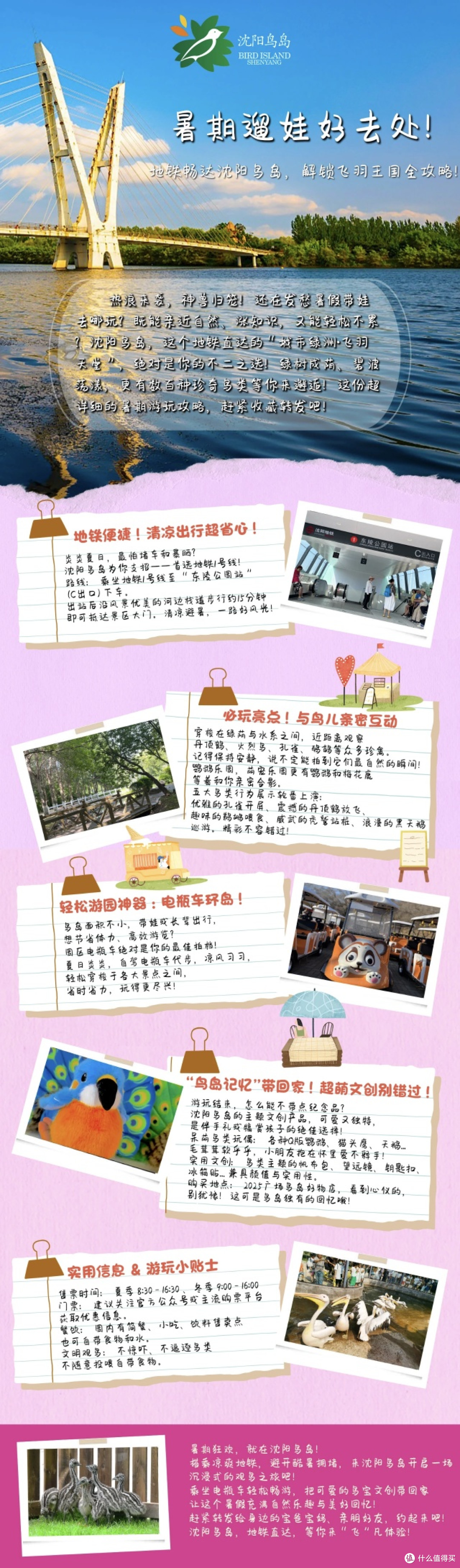 沈阳鸟岛遛娃记：与羽毛精灵共舞的自然课堂  